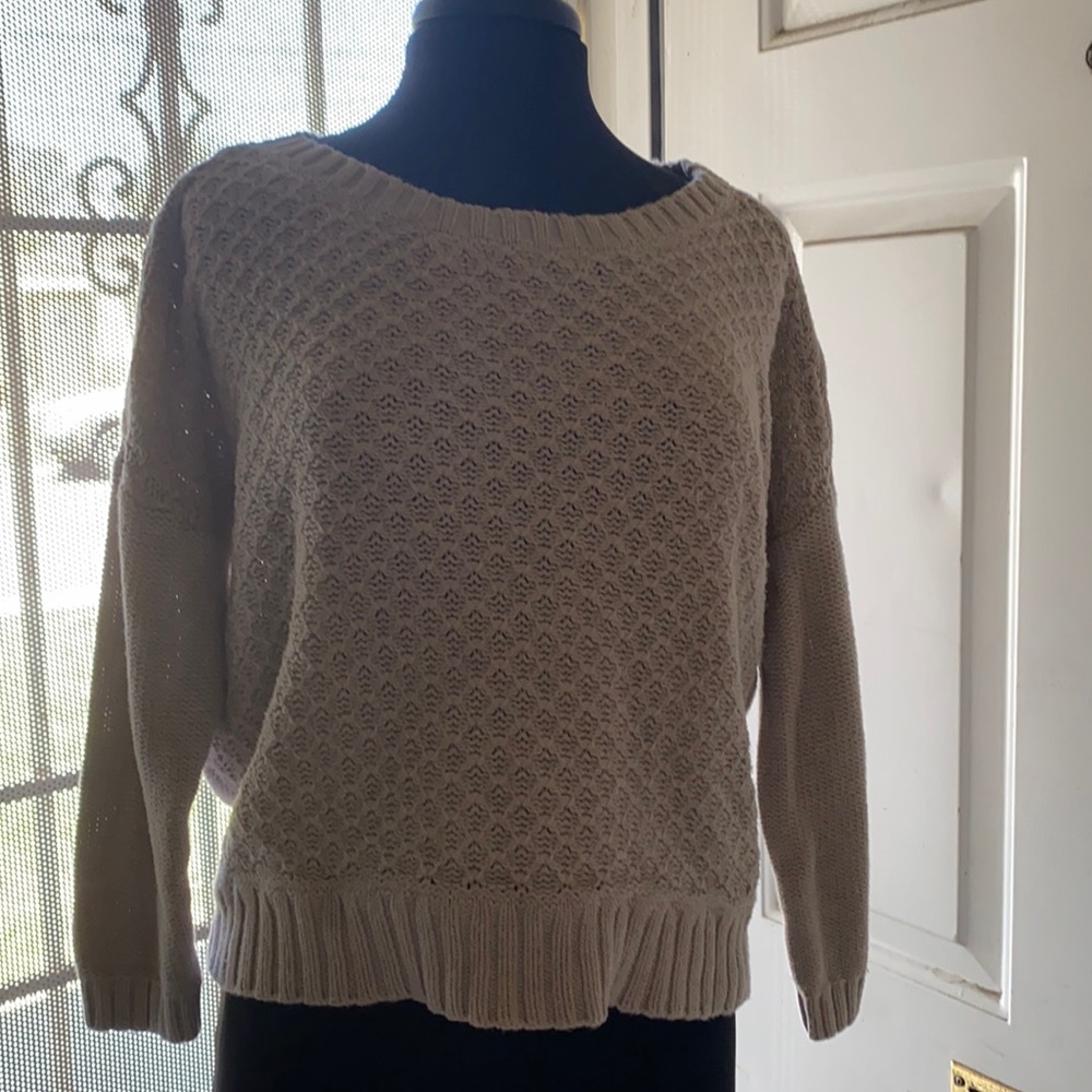 American outfitters short  sweater